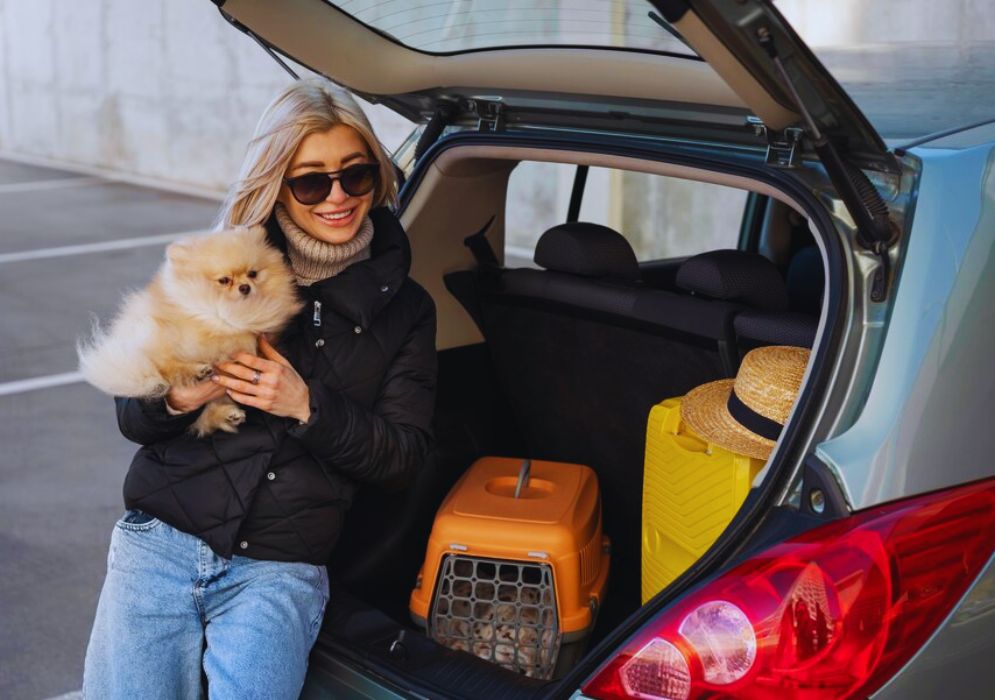 Things to Remember when Renting a Car in the UAE for Pet Owners