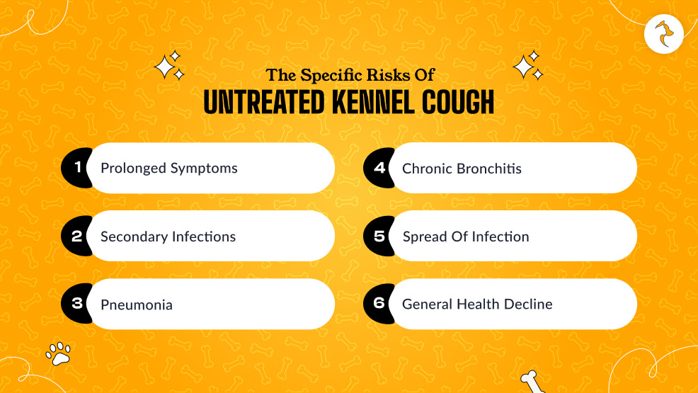 What Are the Specific Risks of Untreated Kennel Cough