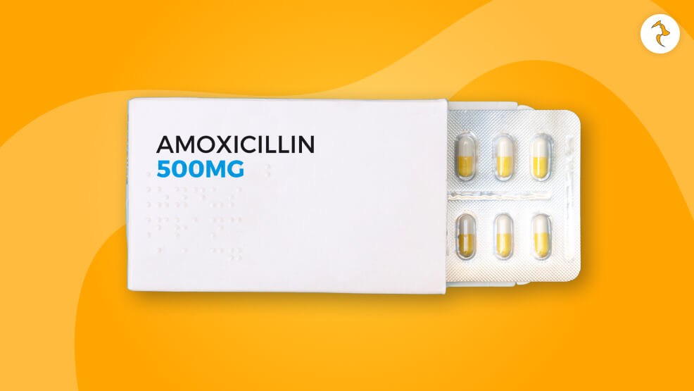 What is Amoxicillin