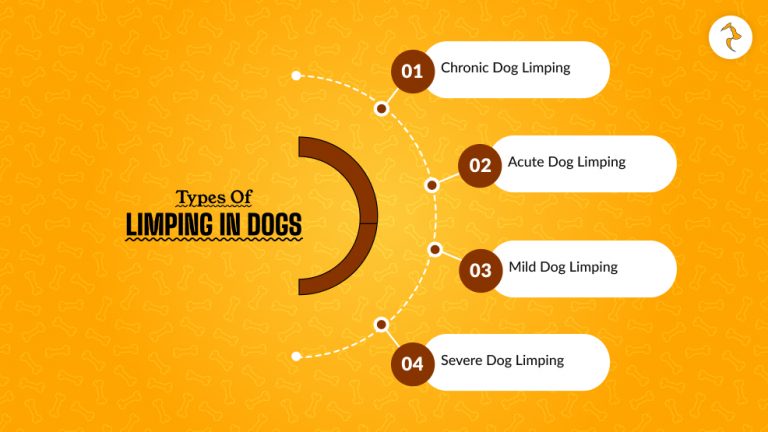 My Dog Is Limping but Shows No Sign of Pain: Know the Reason