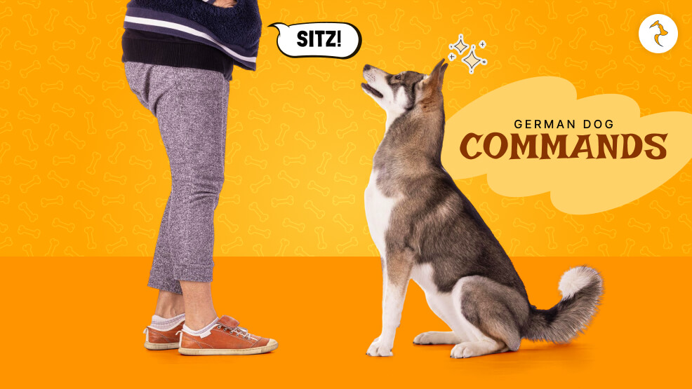 German dog commands