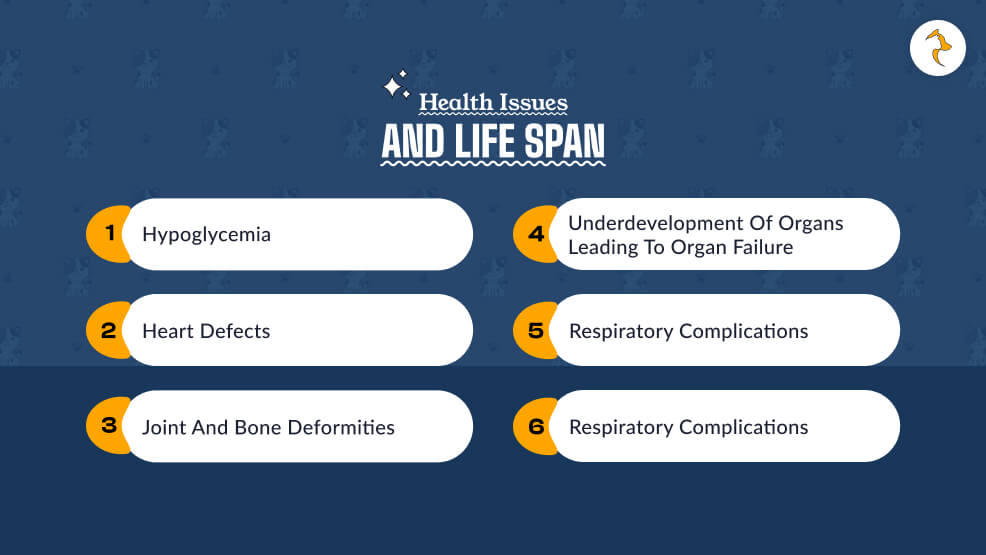 Health Issues and Life Span