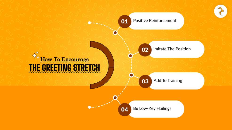 How to Encourage the Greeting Stretch