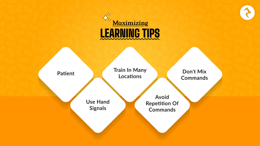 Maximizing Learning Tips