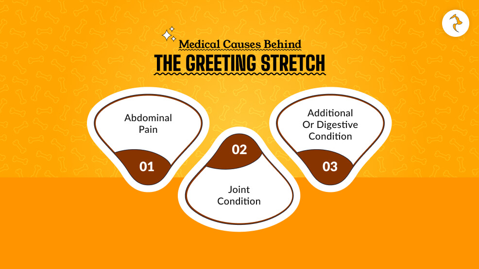 Medical Causes Behind the Greeting Stretch