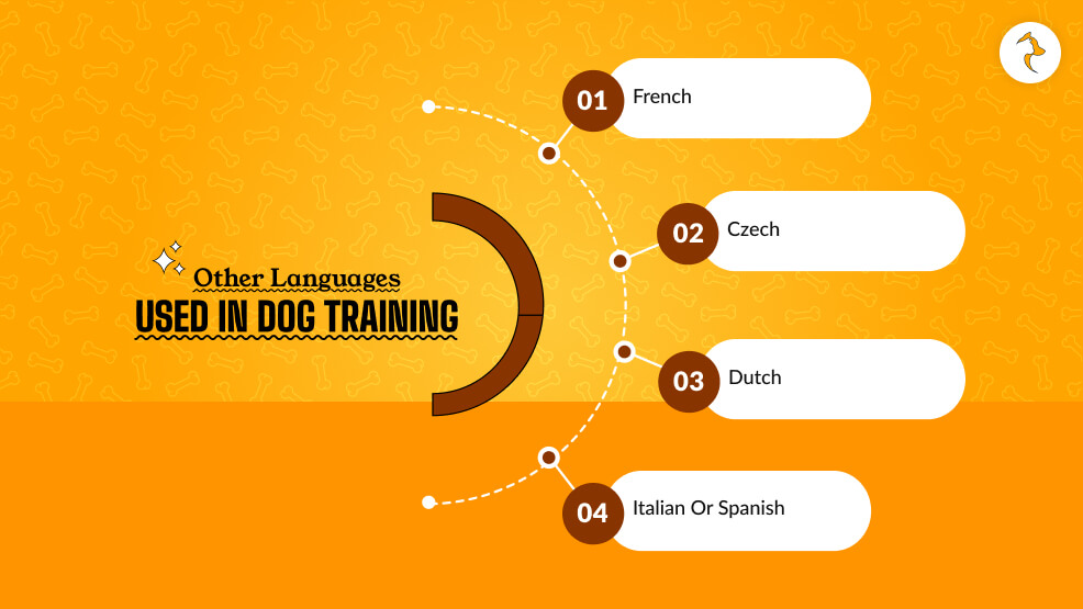 Other Languages Used in Dog Training