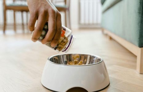 Pet Products Online