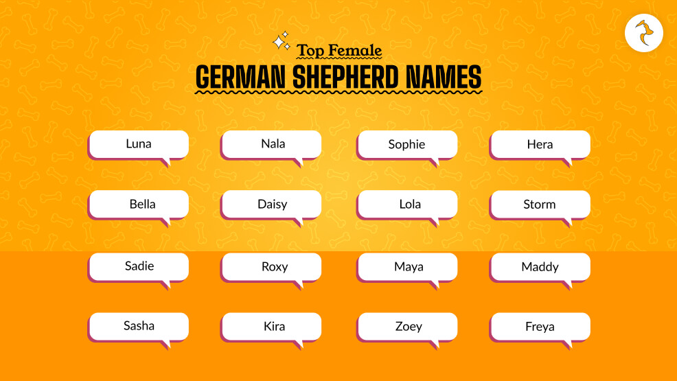 Top Female German Shepherd Names