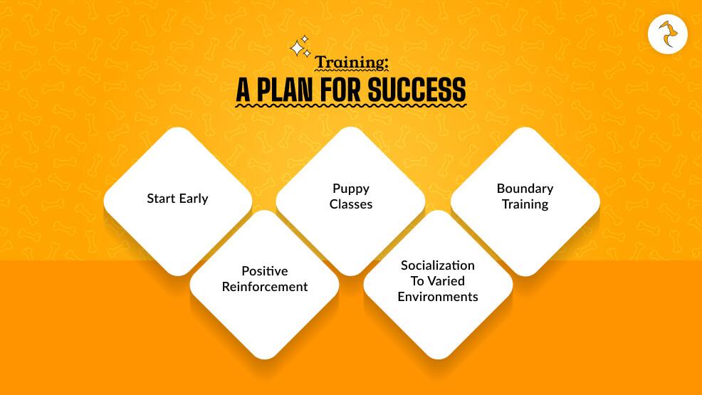 Training_ A Plan for Success