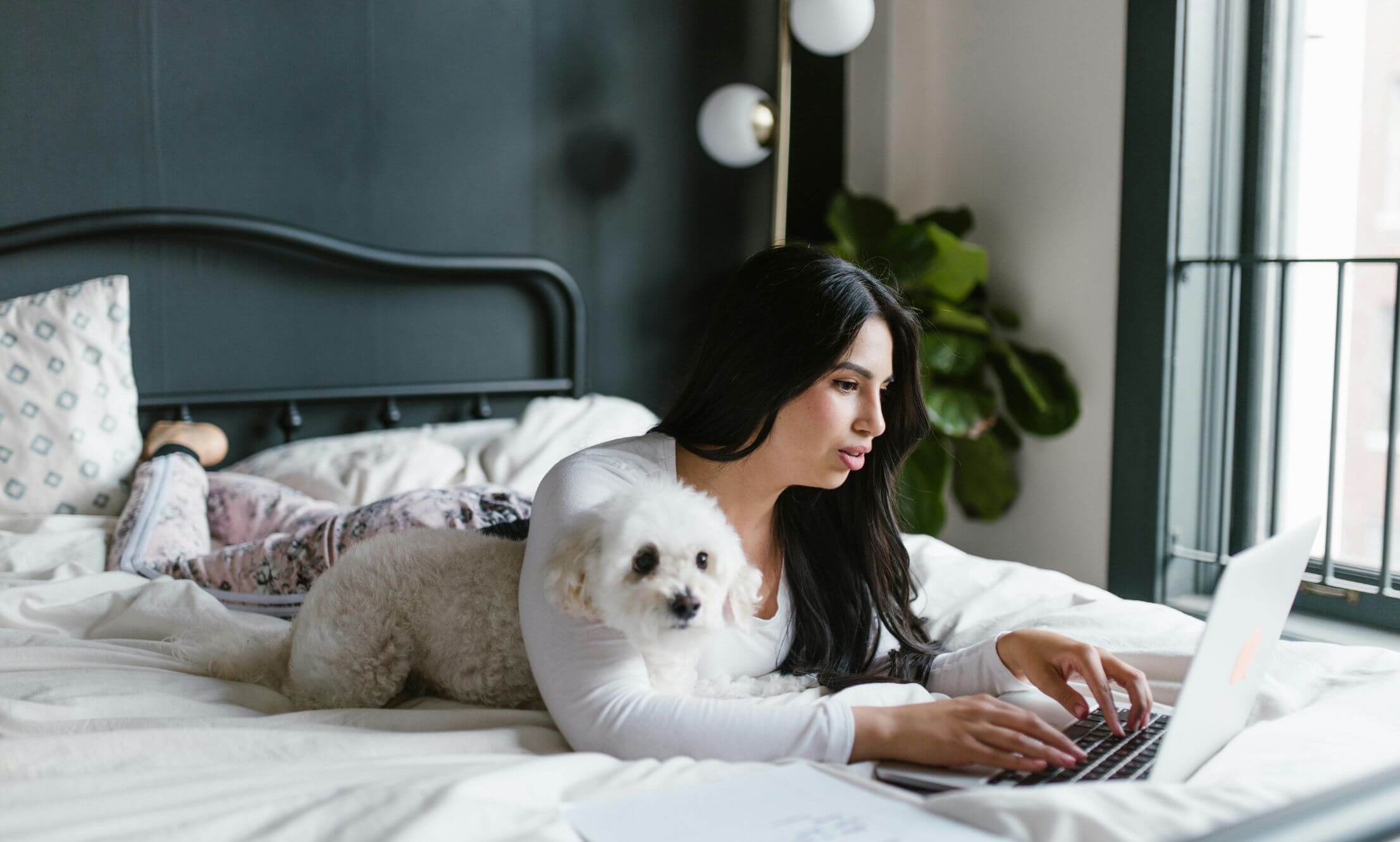 What to Look for in Pet Food