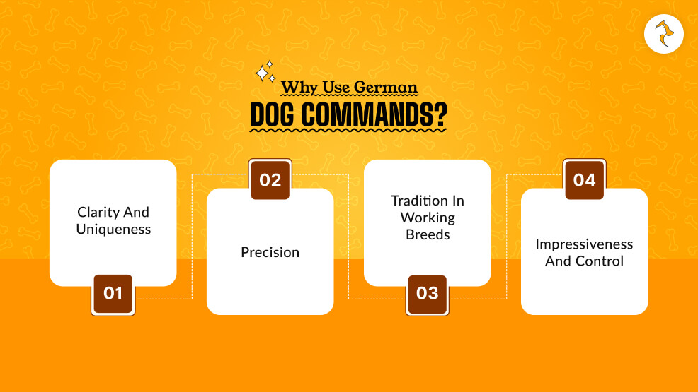 Why Use German Dog Commands_