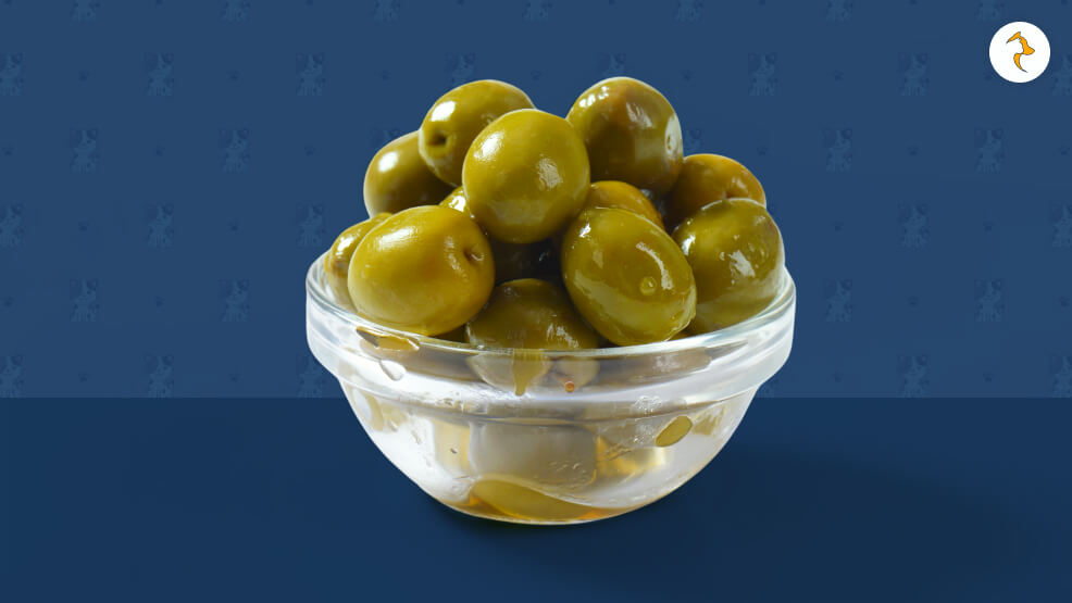 Are Olives Good for Cats