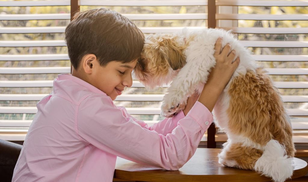 Benefits of Owning a Pet
