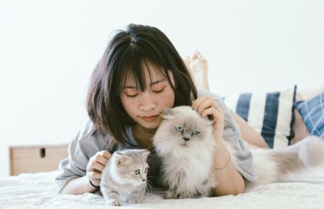 Benefits of Owning a Pet