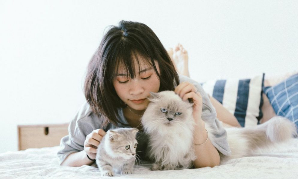 Benefits of Owning a Pet