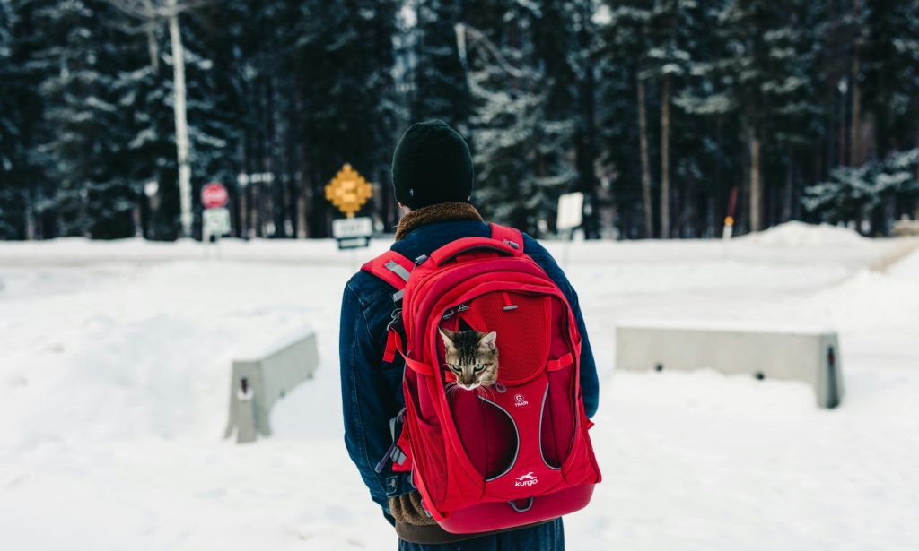Best Walks And Outdoor Adventures