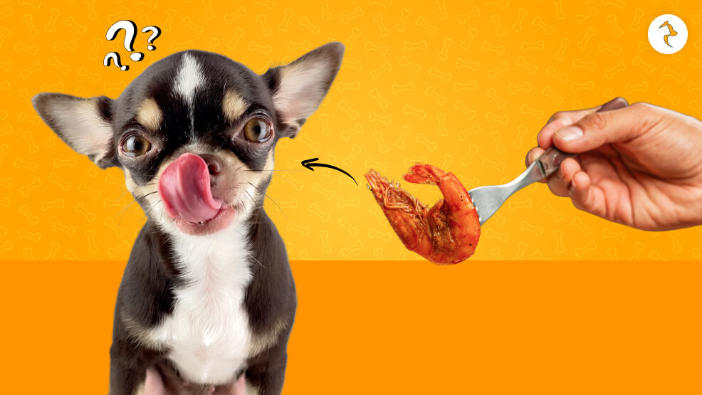 Can Dogs Have Shrimp_