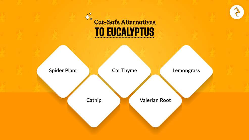 Cat-Safe Alternatives to Eucalyptus