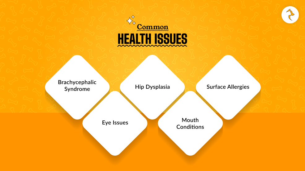 Common Health Issues