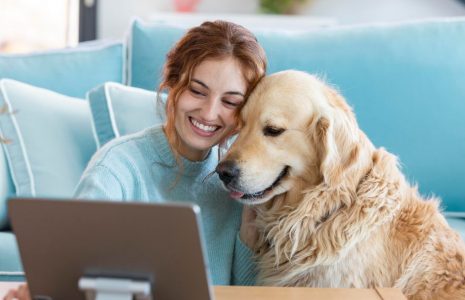 Emotional support animal pet fees