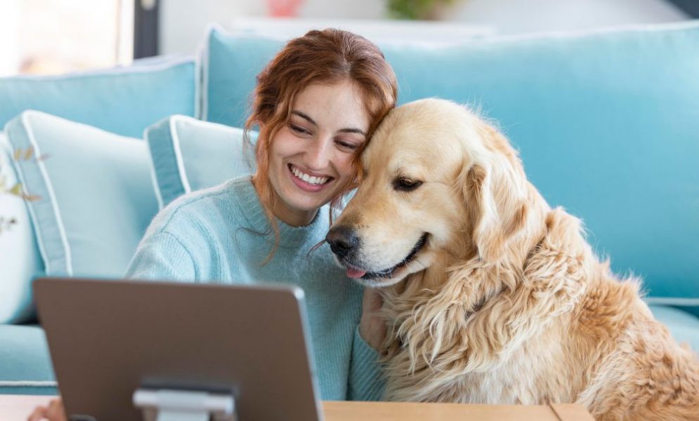 Emotional support animal pet fees