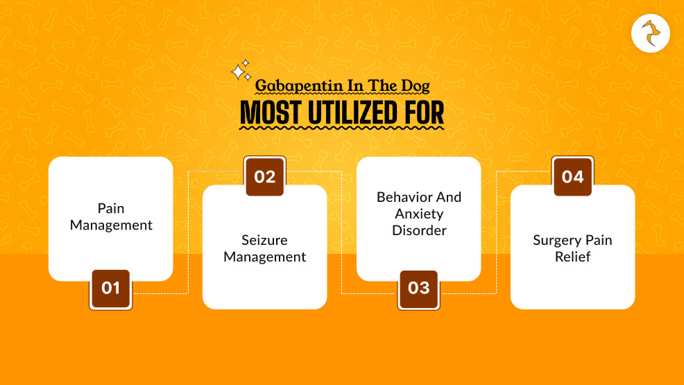Gabapentin in the dog