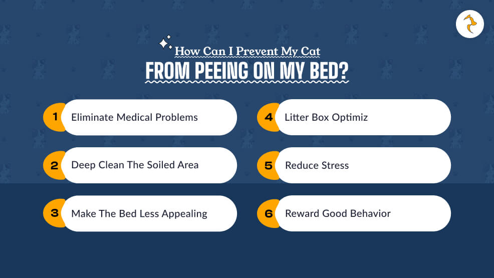 How Can I Prevent My Cat from Peeing on My Bed