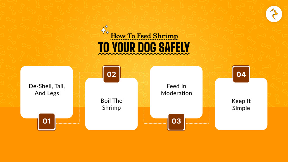 How to Feed Shrimp to Your Dog Safely