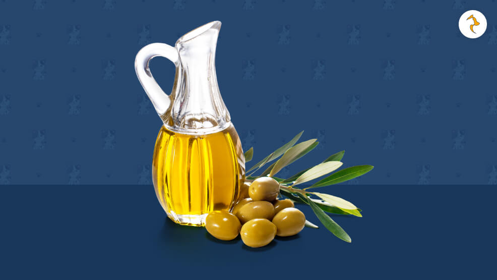 Is Olive Oil Safe for Cats