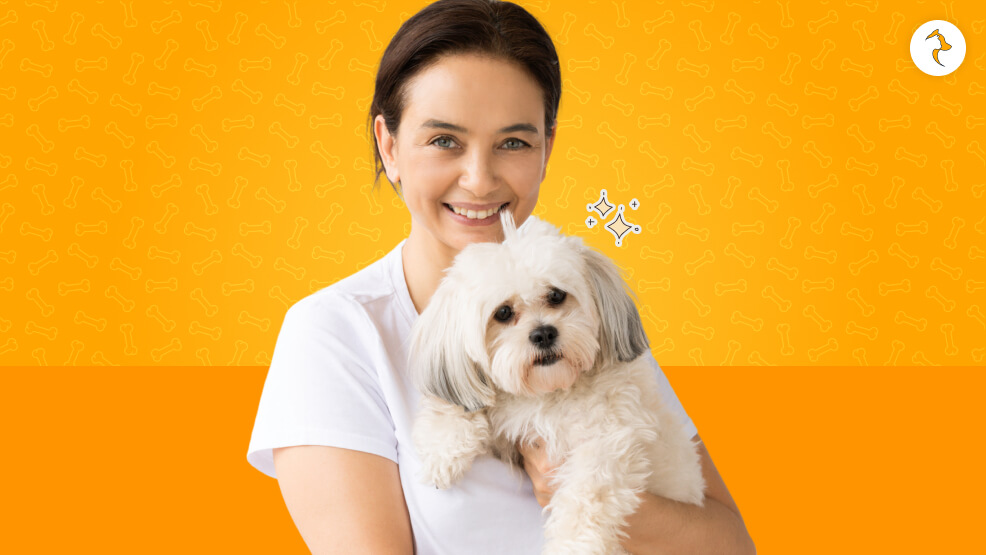 Is a Shih Tzu for You!