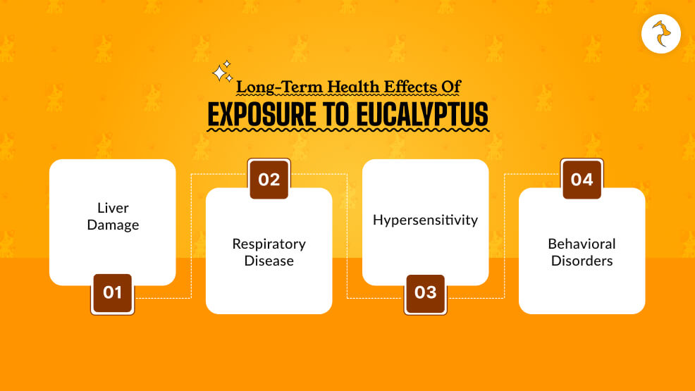 Long-term Health Effects of Exposure to Eucalyptus