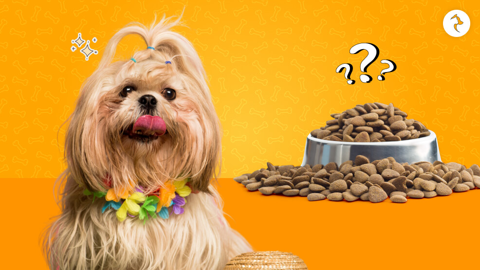 Optimal Nutrition Schedule – Timing and Amounts for Shih Tzu Puppies and Adults