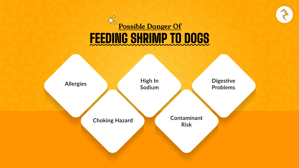 Possible Danger of Feeding Shrimp to Dogs