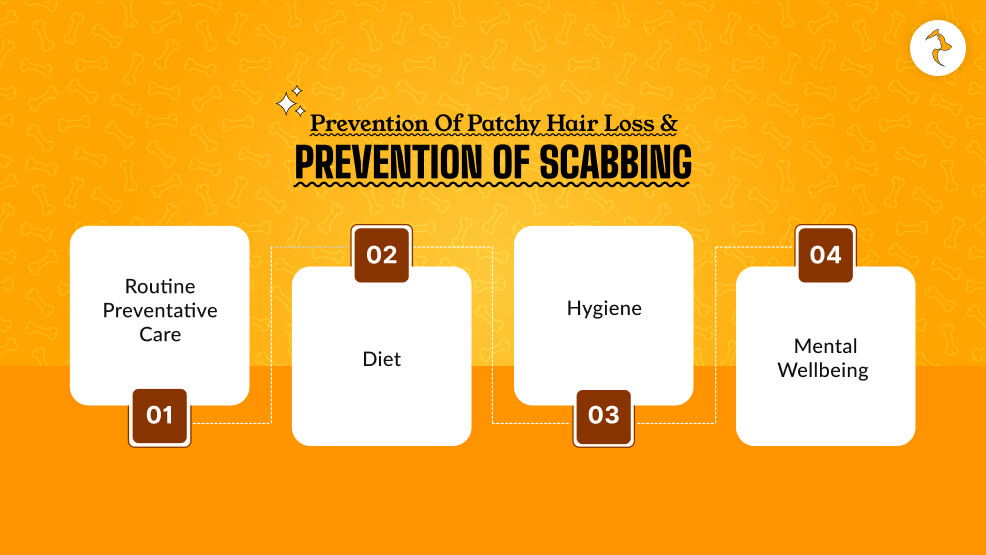 Prevention of Patchy Hair Loss and Prevention of Scabbing