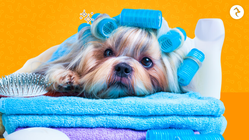 Shedding and Hair Tips for Working at Home