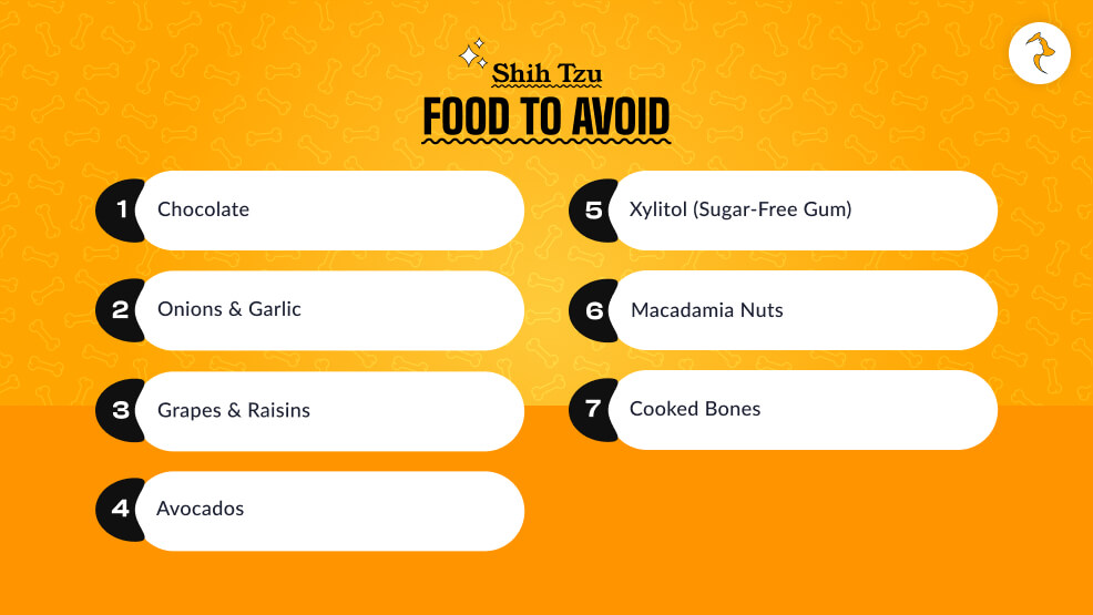 Shih Tzu Food to Avoid