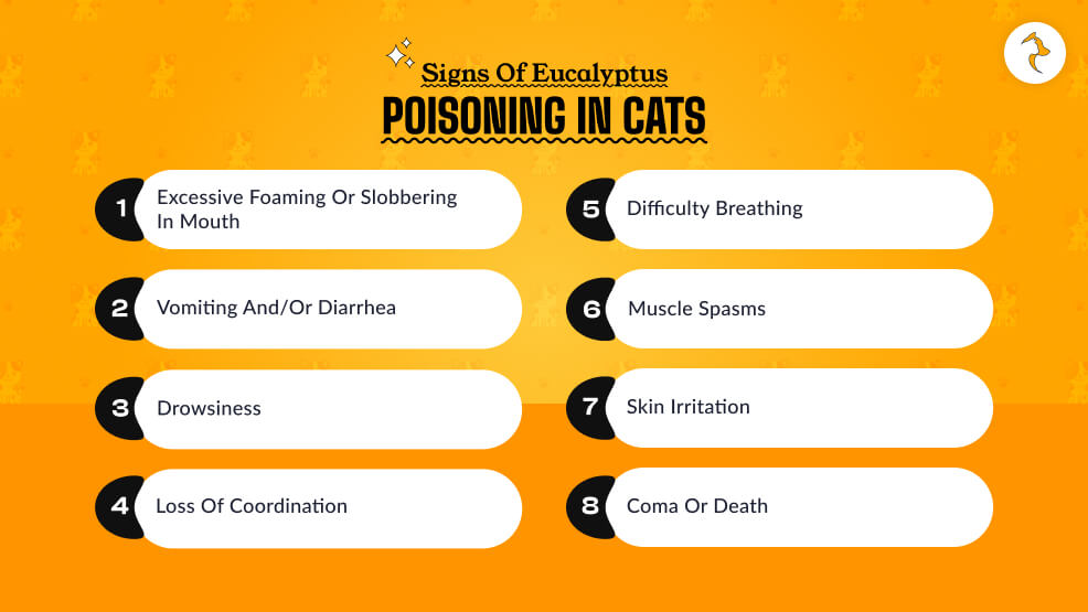 Signs of Eucalyptus Poisoning in Cats