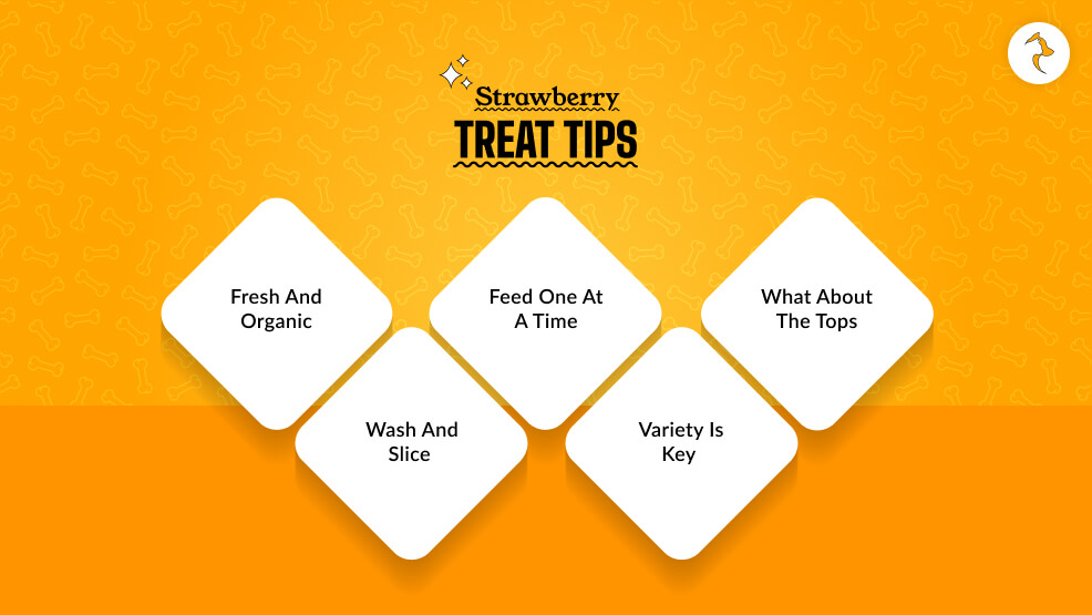 Strawberry Treat Tips