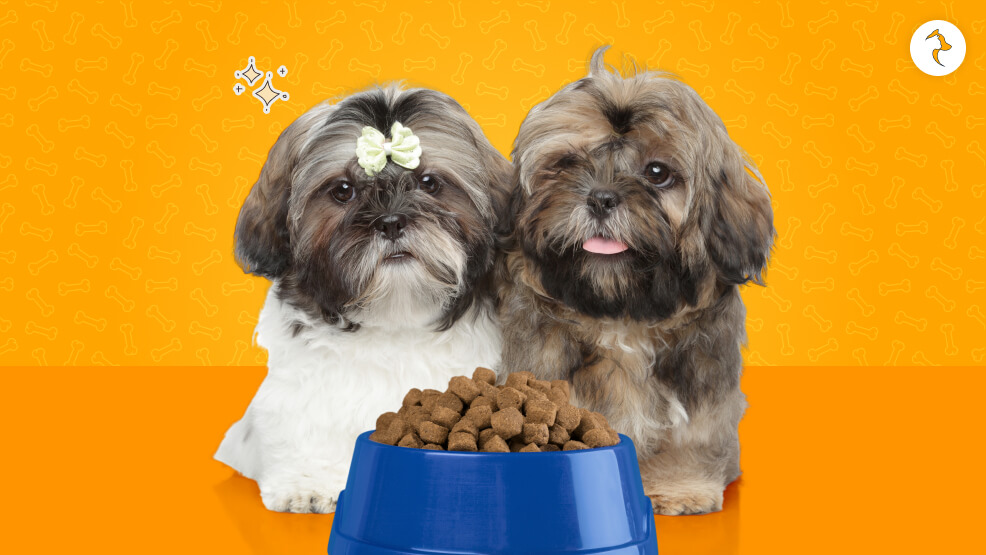 The Best Food for Shih Tzu Puppies and Dogs