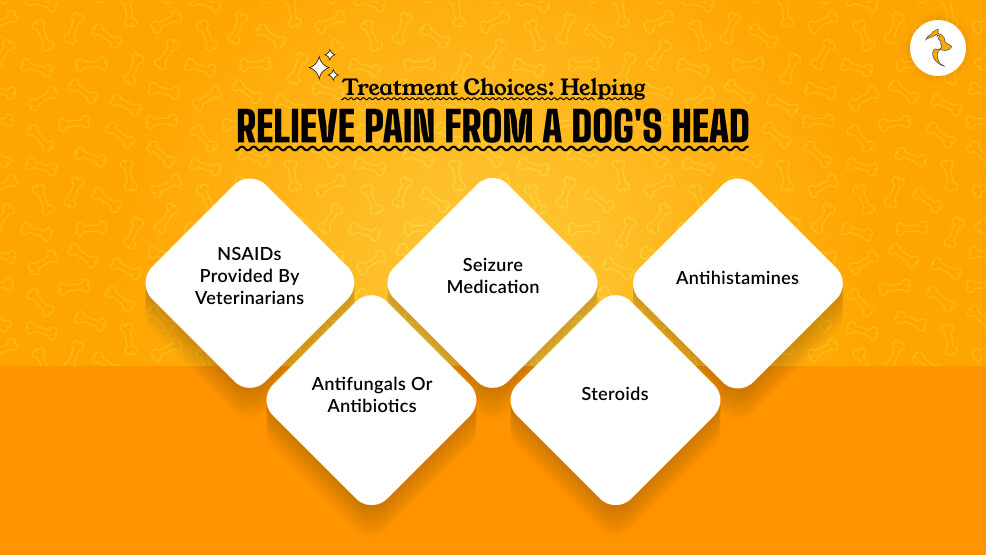Treatment Choices Helping Relieve Pain from a Dog's Head