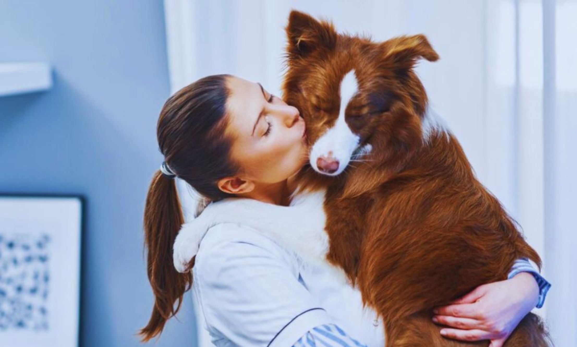 Understanding Your Pet’s Daily Routine