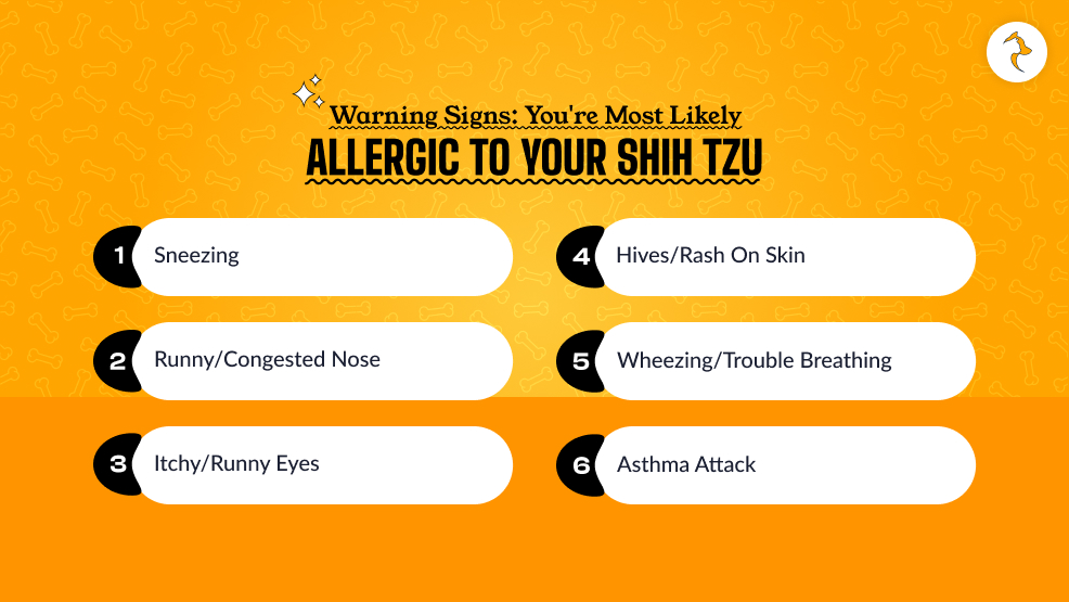 Warning Signs You're Most Likely Allergic to Your Shih Tzu