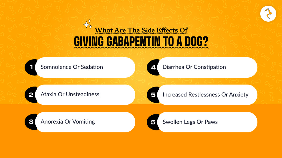 What Are the Side Effects of Giving Gabapentin to a Dog