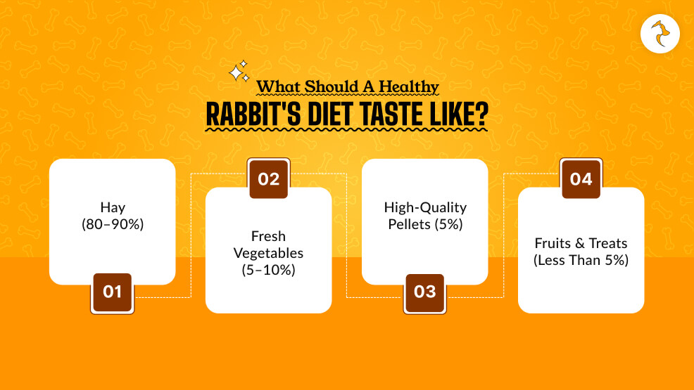 What Should a Healthy Rabbit's Diet Taste Like
