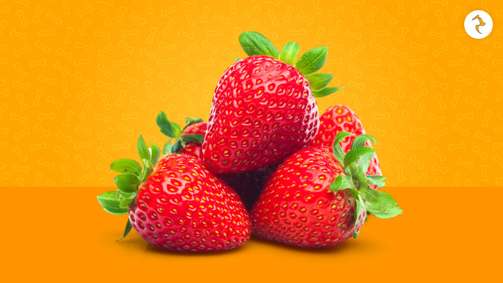 What parts of the Strawberry are safe