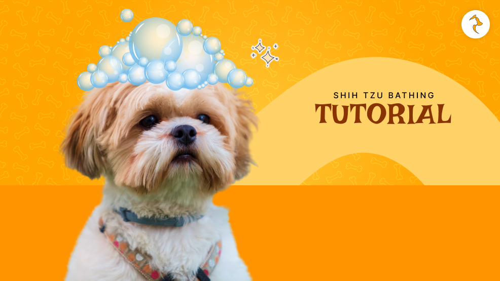 how often should you bathe a shih tzu