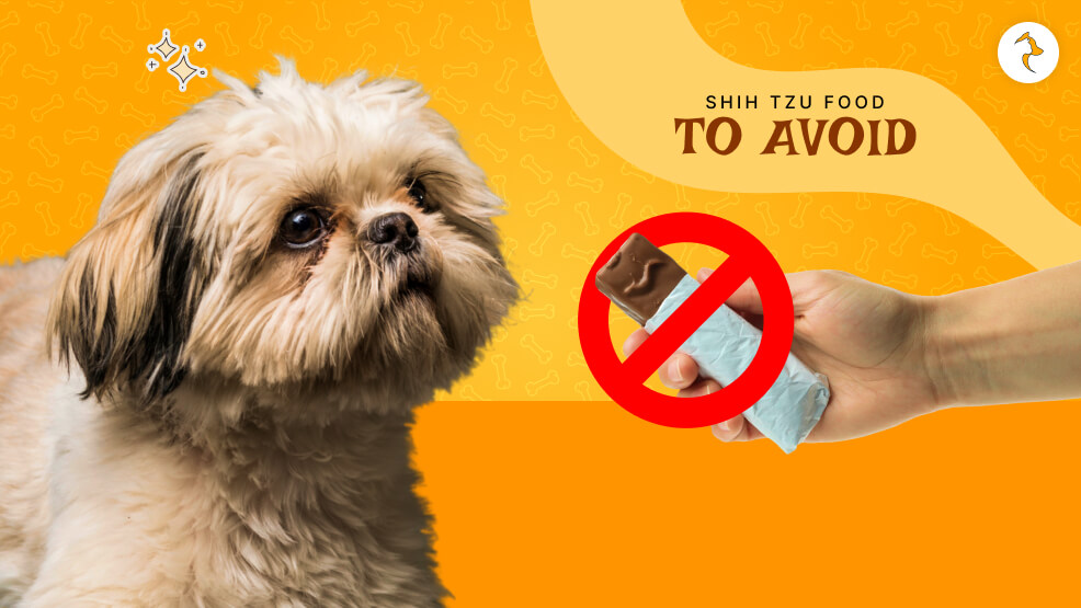 shih tzu foods to avoid