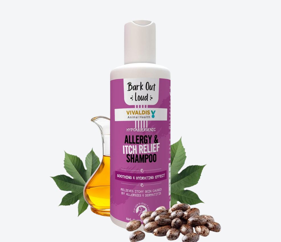 BARK OUT LOUD - Allergy & Itch Relief Shampoo