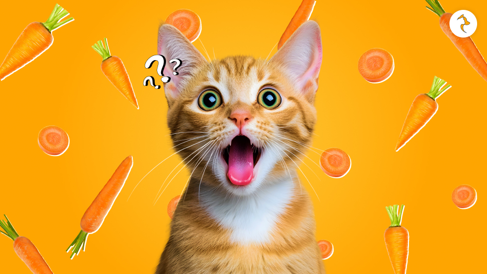 Can Cats Eat Carrots_ Is It Safe For Them