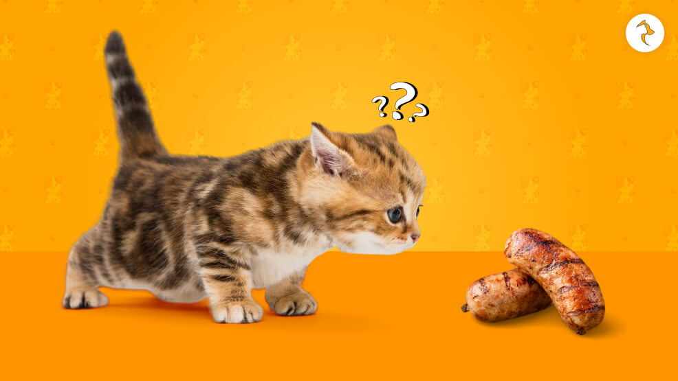 Can Cats Eat Sausages
